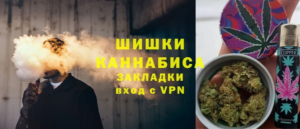 PSILOCYBIN Аркадак