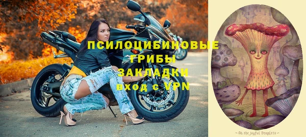 PSILOCYBIN Аркадак