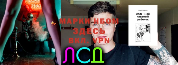 PSILOCYBIN Аркадак