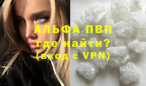 PSILOCYBIN Аркадак