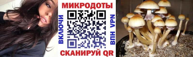 Псилоцибиновые грибы прущие грибы купить сайты Новоузенск